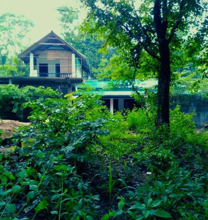 Habarana Dulwan Guest House Εξωτερικό φωτογραφία