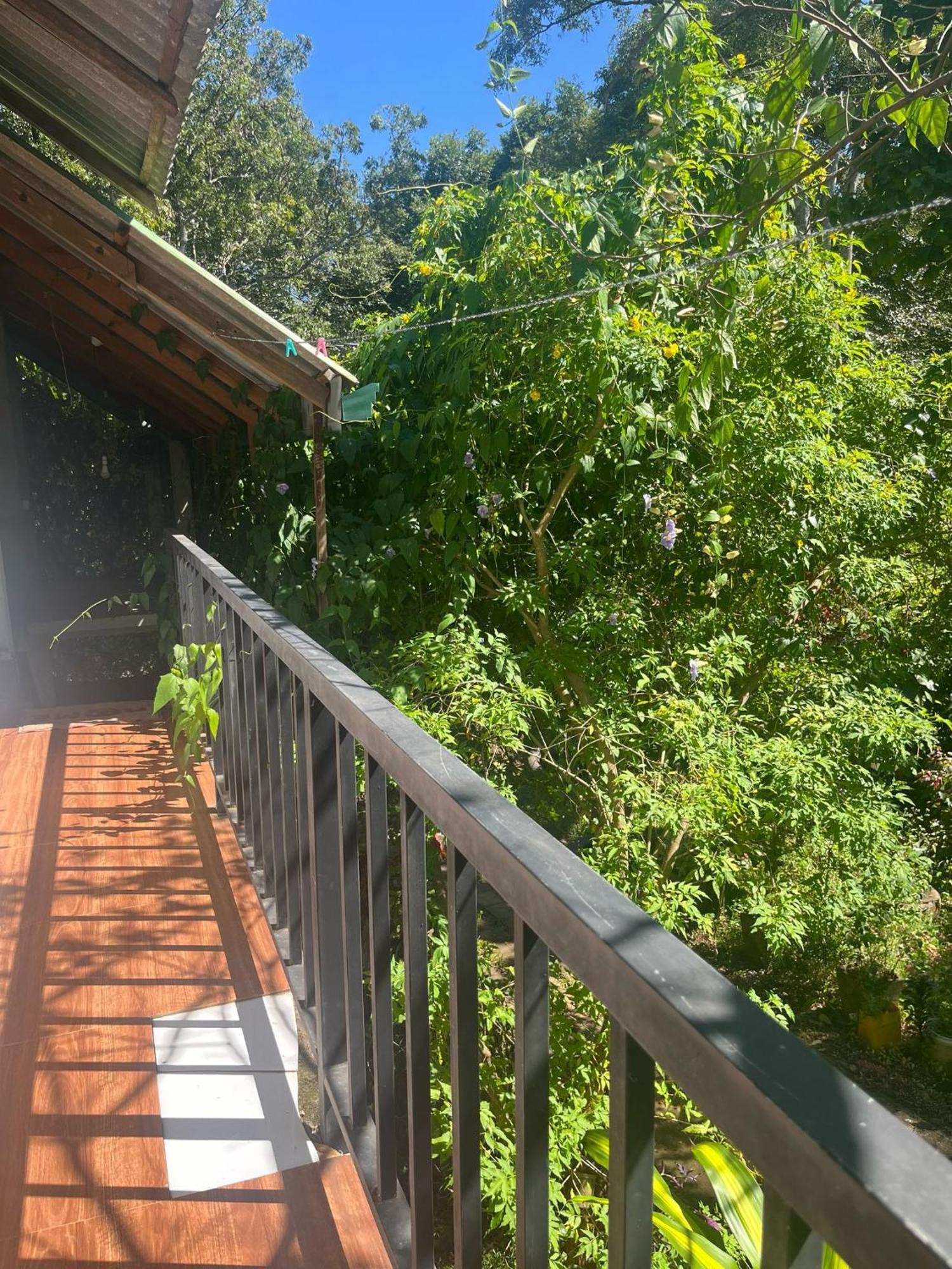 Habarana Dulwan Guest House Δωμάτιο φωτογραφία